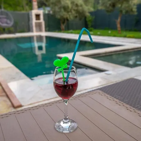 Breathtaking Duplex Close To Inlice With Private Pool And Backyard In Fethiye Villa