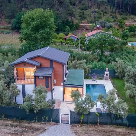 Villa Breathtaking Duplex Close To Inlice With Private Pool And Backyard In Fethiye
