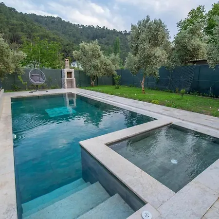 Villa Breathtaking Duplex Close To Inlice With Private Pool And Backyard In Fethiye